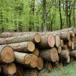 Kinh doanh nông lâm sản, phân bón hướng đi mới nhiều tiềm năng